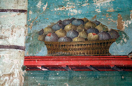 Pompei, Oplontis e Boscoreale